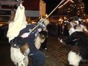 Filename=klausen_06122009_andrea_schwarz056.JPG
Filesize=112KiB
Dimensions=912x684
Date added=Dec 01, 2018 klausen_06122009_andrea_schwarz056.JPG