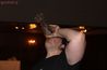 Filename=ballonstart2010_mosler293.jpg
Filesize=70KiB
Dimensions=1188x792
Date added=Dec 01, 2018 ballonstart2010_mosler293.jpg