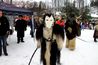 Filename=IMG_0824.JPG
Filesize=613KiB
Dimensions=2048x1365
Date added=Dec 02, 2018 IMG_0824.JPG