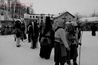 Filename=IMG_0828.JPG
Filesize=792KiB
Dimensions=2048x1365
Date added=Dec 02, 2018 IMG_0828.JPG