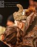 Filename=baerbele_2013_susei9053.jpg
Filesize=106KiB
Dimensions=627x800
Date added=Dec 02, 2018 baerbele_2013_susei9053.jpg
