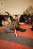 Filename=klausen_2013_wolsei-13.jpg
Filesize=218KiB
Dimensions=1333x2000
Date added=Dec 02, 2018 klausen_2013_wolsei-13.jpg