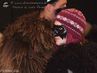 Filename=klausen2014_lutz_reiner_20141205Klausen5861.jpg
Filesize=387KiB
Dimensions=2047x1536
Date added=Dec 02, 2018 klausen2014_lutz_reiner_20141205Klausen5861.jpg
