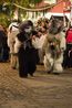 Filename=klausentreiben2014_simone_pries_020.jpg
Filesize=537KiB
Dimensions=1333x2000
Date added=Dec 02, 2018 klausentreiben2014_simone_pries_020.jpg
