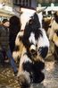 Filename=klausentreiben2014_simone_pries_022.jpg
Filesize=557KiB
Dimensions=1333x2000
Date added=Dec 02, 2018 klausentreiben2014_simone_pries_022.jpg