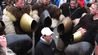 Filename=IMG_3203.jpg
Filesize=314KiB
Dimensions=2047x1149
Date added=Dec 02, 2018 IMG_3203.jpg