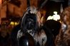 Filename=klausen2018_PAlexandrzak_DSC_3937.jpg
Filesize=260KiB
Dimensions=2000x1333
Date added=Dec 10, 2018 klausen2018_PAlexandrzak_DSC_3937.jpg