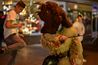 Filename=klausen2018_PAlexandrzak_DSC_4559.jpg
Filesize=247KiB
Dimensions=2000x1333
Date added=Dec 10, 2018 klausen2018_PAlexandrzak_DSC_4559.jpg