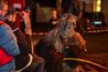 Filename=klausen2018_PAlexandrzak_DSC_4647.jpg
Filesize=242KiB
Dimensions=2000x1333
Date added=Dec 10, 2018 klausen2018_PAlexandrzak_DSC_4647.jpg